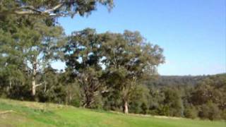Destiny Of Love ~ Westerfold Park Templestowe Scenery