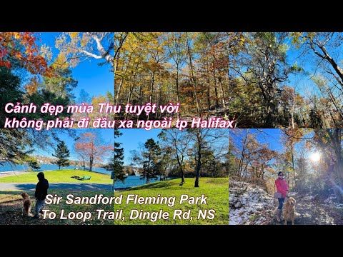 Parque Sir Sandford Fleming/ Dingle Rd