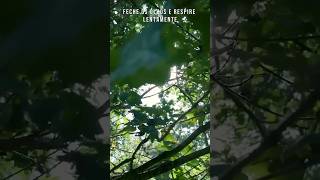 Respire fundo: O alívio que você precisa em 3 minutos
