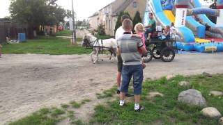 preview picture of video '2011-07-10 Piknik Rodzinny Szreniawa'