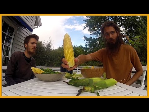 How to Eat Raw Sweet Corn Straight