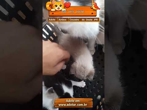 Vídeo de não tem nome 