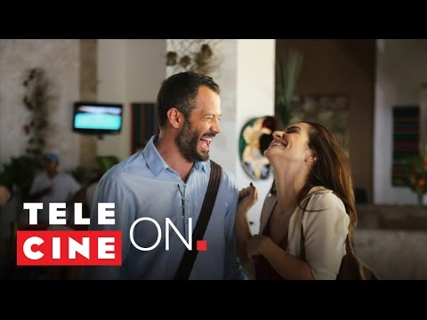 Qualquer Gato Vira-Lata 2