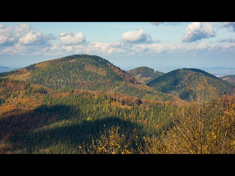 Góry Suche, Góry Wałbrzyskie - Sudety 2020, 5K