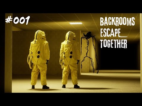 BACKROOMS AUSFLUG endet im CHAOS?! - Backrooms Escape Together