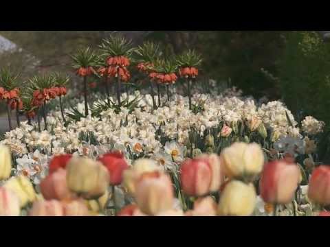 Gothenburg Botanical Garden spring 2012