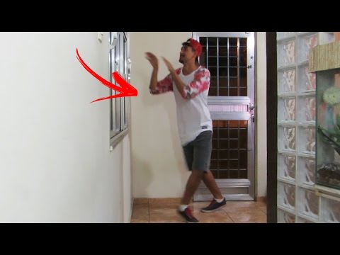 Os Cretinos e Mc WM - Qual bumbum mais bate | Coreografia - Desafio