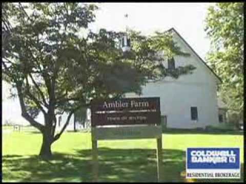 Community Video: Wilton, CT