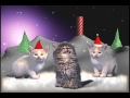Jingle Cats - Silent night 10 HOURS
