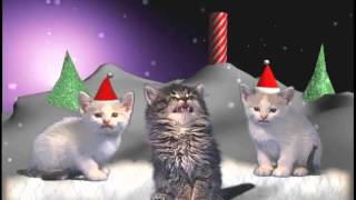 Jingle Cats - Silent night 10 HOURS