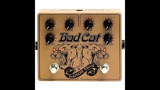Bad Cat Siamese Drive - What To Know & Where To Buy | Equipboard Bad Cat Siamese Drive - What To Know & Where To Buy | Equipboard