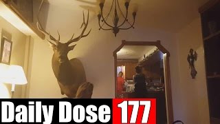 #DailyDose Ep.177 - MOOSE CONFUSION! | #G1GB