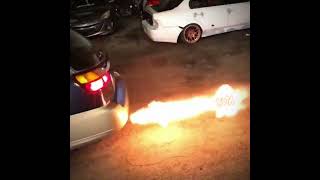 Cover art for no show