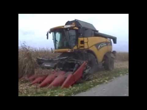 Gobin + Van Slambrouck: Mais dorsen