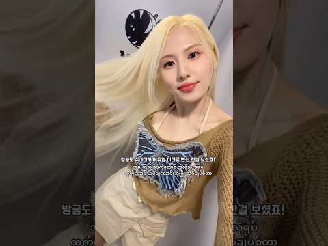 뉴엘(NewL) 디디 VLOG Shorts #뉴엘 #newl #디디 #didi @newlofficial @didiisdidi98