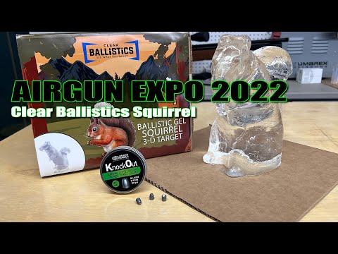 AE22 - Clear Ballistics Squirrel VS. Umarex Origin .25, ATN LTV, JSB .25 Cal Knockout MKII Slugs