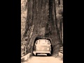 Mighty Oaks - Driftwood Seat 