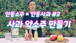 사과 약소주 만들기. [ 안동사과×안동소주 콜라보 #3]