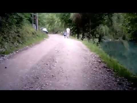 lacul vida-dobresti, bihor