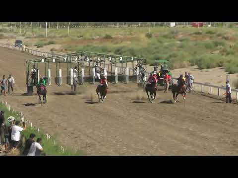 TANGO FEROZ  Club Hípico Añelo - Añelo - Neuquén - 12-03-2023
