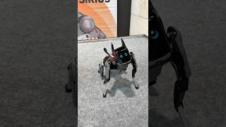 Hengbot Sirius AI Robot Dog at IFA 2026