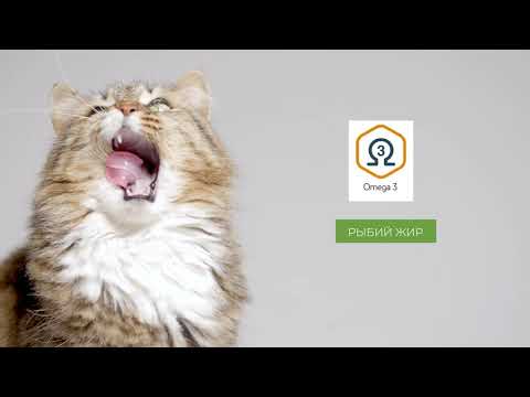 Миниатюра изображения товара Сухой корм для кошек Alleva Эквилибриум с рыбой для кастрир. и стерилиз. / P61074 (1.5кг)