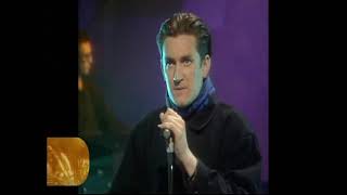 The Beautiful South, I&#39;ll Sail This Ship Alone