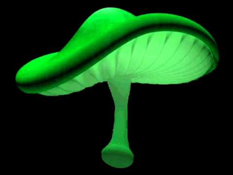 Fungus Funk - Dis