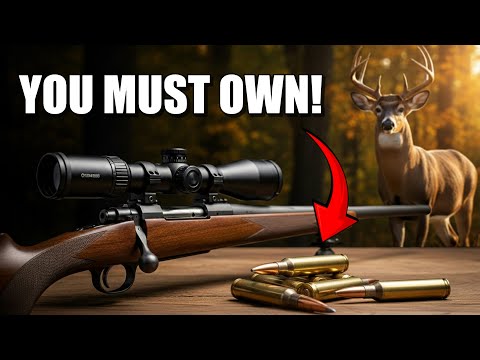 Remington Ranch Hand 22LR Ammo Review