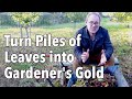How To Make Leaf Mold Turn Fallen Leaves Into Gardener S Gold