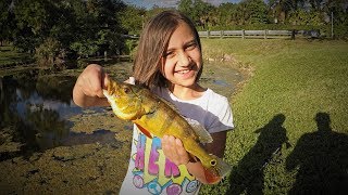 Surprise Catch While Bass Fishing in a Florida Canal!!!