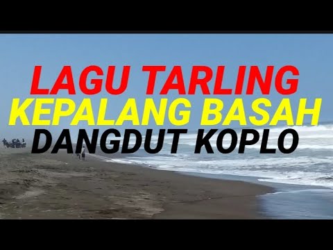 LAGU TARLING KEPALANG BASAH DANGDUT KOPLO