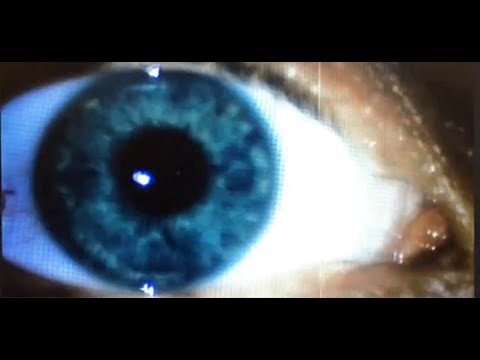 Taras Bazeev - Brume