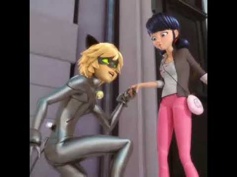 Miracolous Lady Bug e Chat Noir.La loro storia d'amore❤