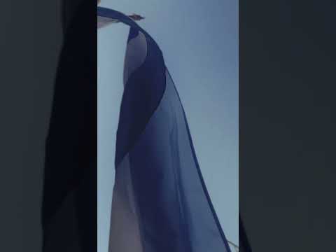 🇦🇷✨ ¡9 de Julio – Día de la Independencia Argentina! ✨🇦🇷