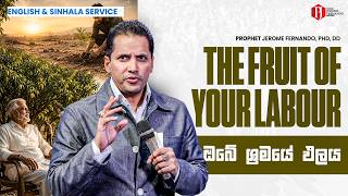 The Fruit of Your Labour | ඔබේ‍ ශ්‍රමයේ ඵලය