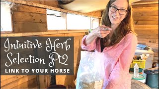 Use your Intuition to Choose Herbs for your Horse - Part 2