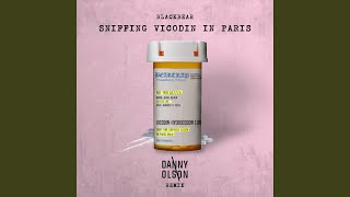 Sniffing Vicodin In Paris (Danny Olson Remix) (feat. Danny Olson)