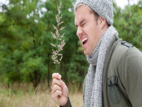 What is an Allergy? (Conditions A-Z)