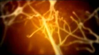 Gemiinii Riisiing - INSECTS EP - 03. The Observer