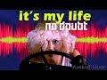No Doubt - It's My Life (Axelsoft's Extended Remix)