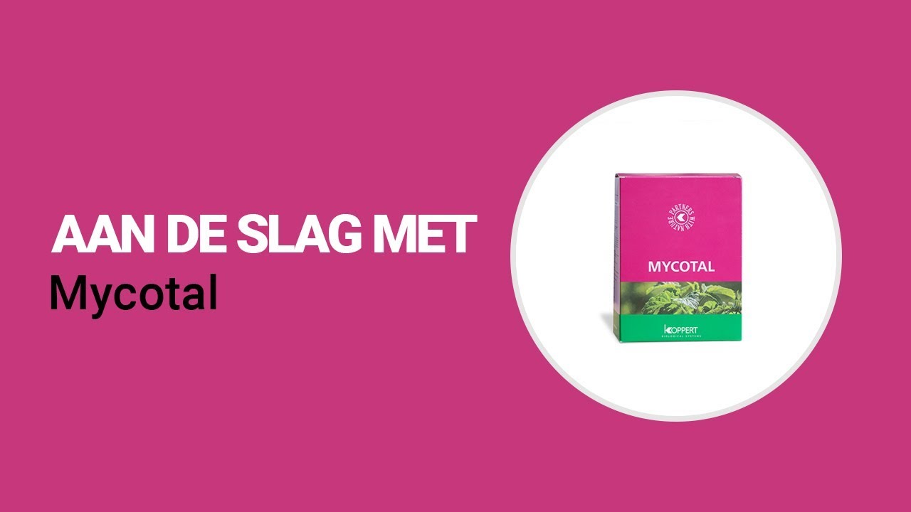 Video preview poster