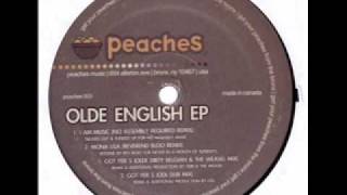 Ol' Dirty Bastard - Got Yer $ (Olde Dirty Belgian & The Weasel Mix) (PEACHES)