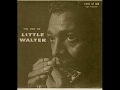 Little Walter, I've Had My Fun ( Alternate Take 2 )