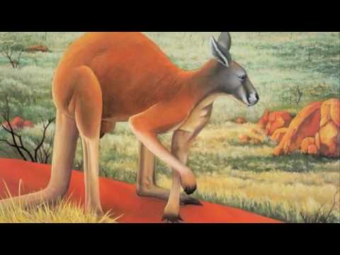 Saint Saens: Carnival of the Animals~Kangourous (Kangaroos)