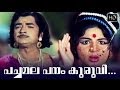 Pachamala Panam Kuruvi Song 5 Arakkallan Mukkalkallan