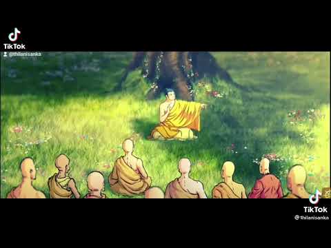 🙏🙏🙏🙏🙏🙏🙏🙏🙏🙏🙏🙏🙏🙏