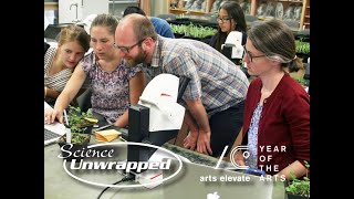 Science Unwrapped:  Nabokov's Butterflies