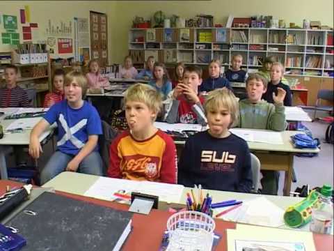 Geraldino - Der Frosch