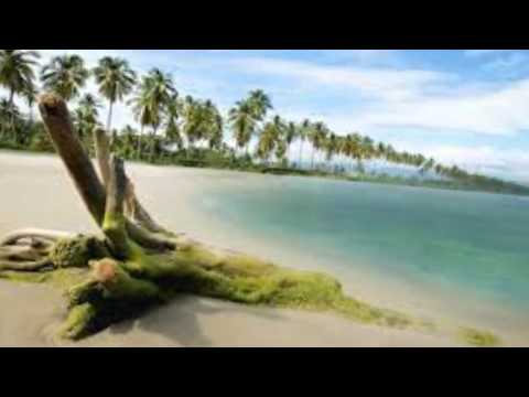 Hino 375 A paz Eu vos deixo (E.U.A)